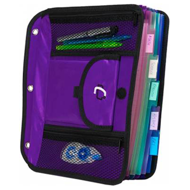 The Pro Binder - Case•it Case-it professional organization at your  fingertips