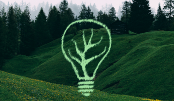 Case·it Boards The Sustainability Train