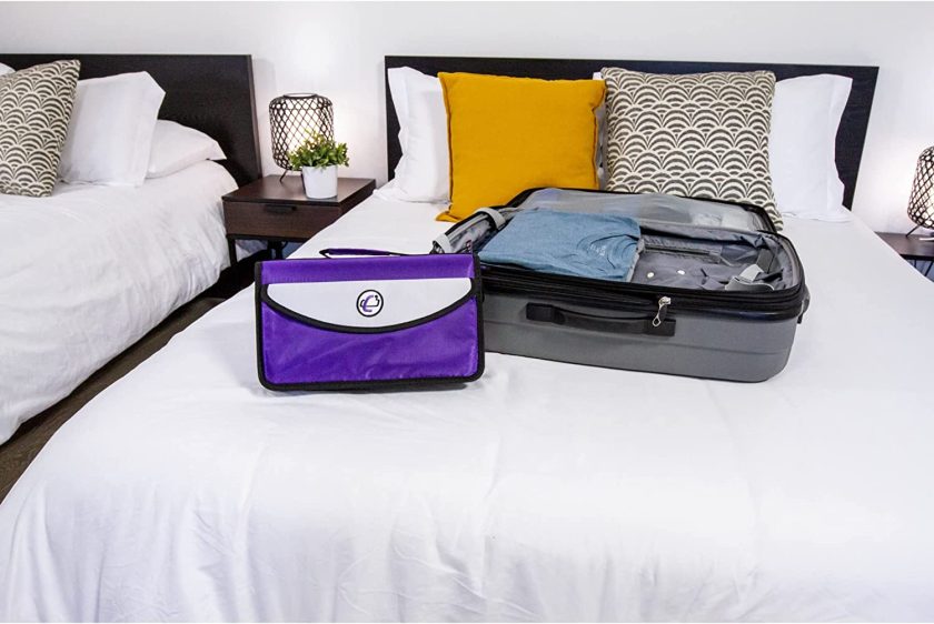 Small Portable Medical Binder / Organizer